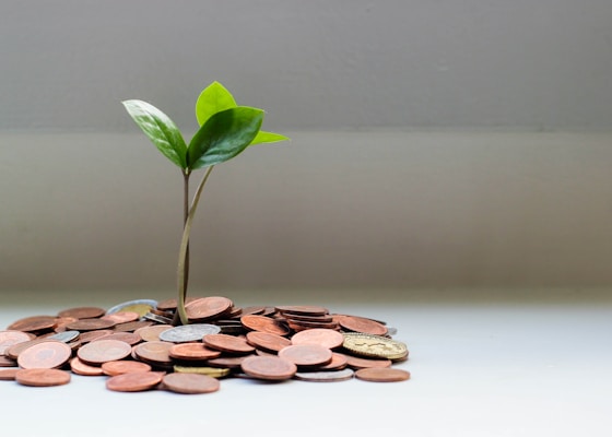 Investment Plans